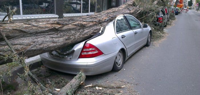 Comment souscrire une assurance auto à la journée ?